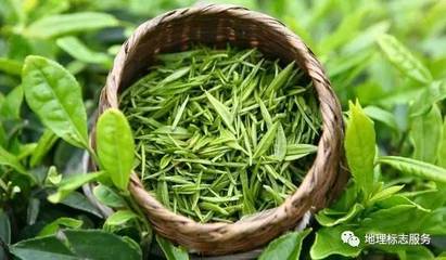 地理標志產品走向世界 廣西百色芒果與桂平西山茶獲中歐互認，衛生潔具產業迎發展新契機