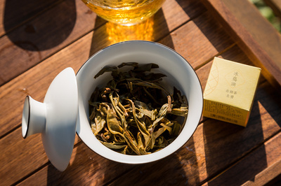 光影交織的匠心 普洱茶與衛生潔具的靜物攝影美學